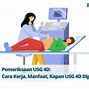 Usg 4D Terbaik Usia Berapa